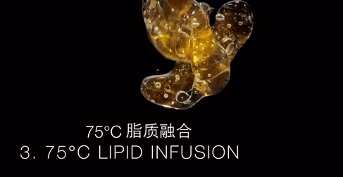 绷带面霜+黑绷带眼霜抗皱紧实淡化纹路k8凯发网站“贵妇”都在用！赫莲娜黑(图5)